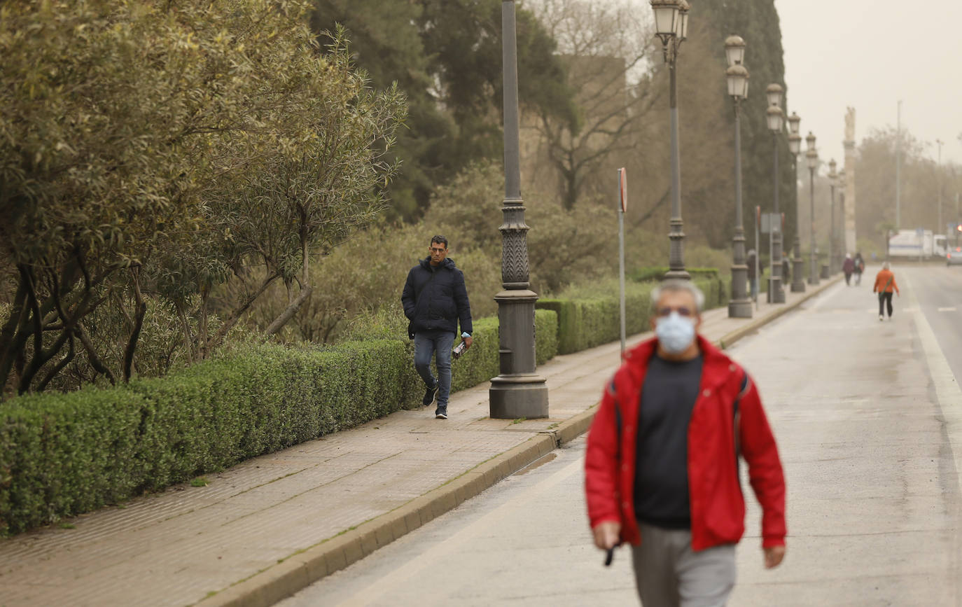 La avenida del Alcázar de Córdoba, en imágenes