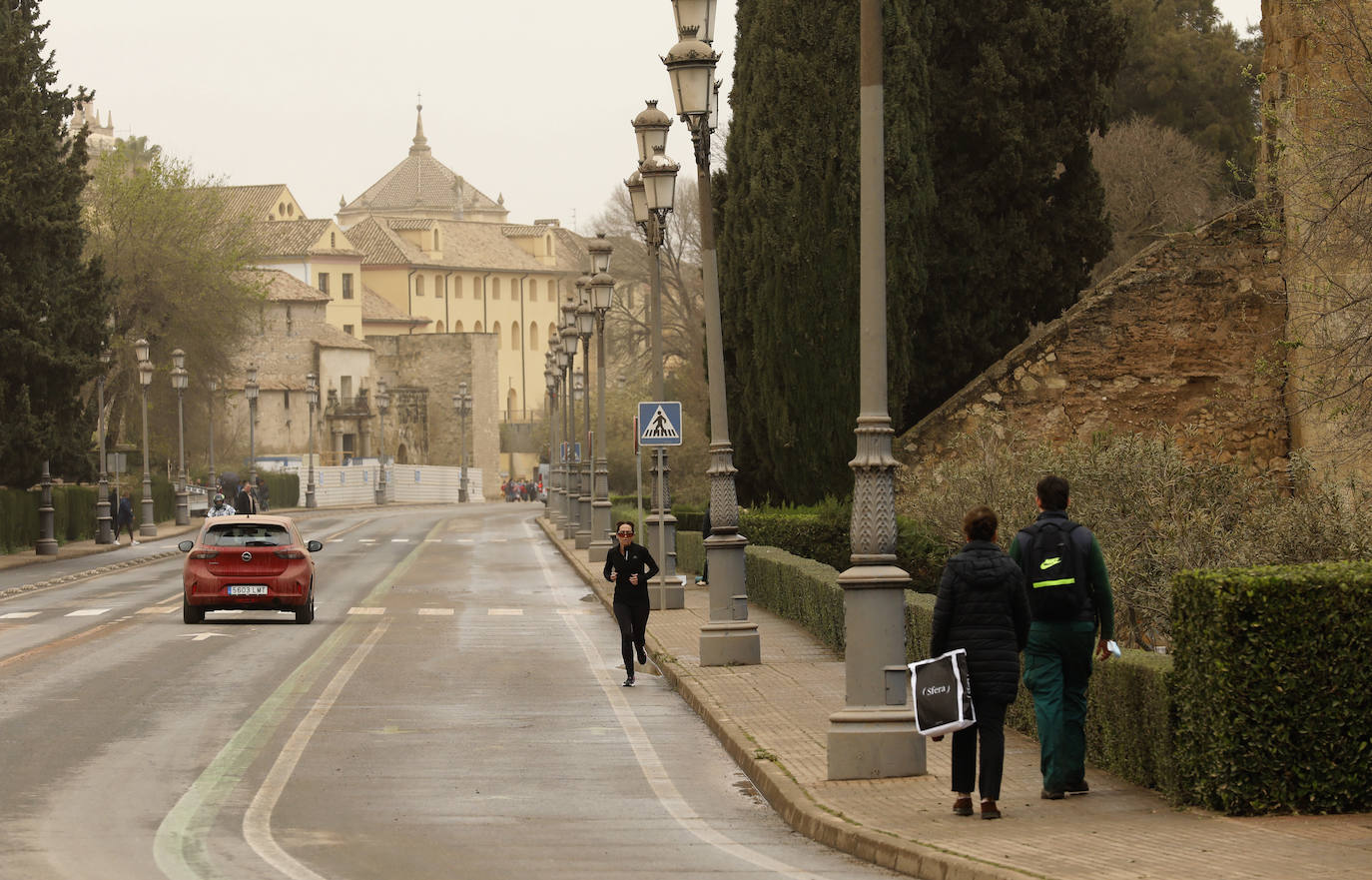 La avenida del Alcázar de Córdoba, en imágenes