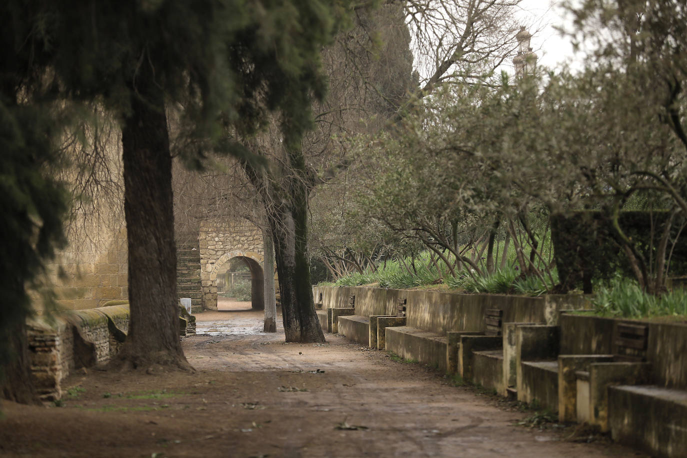 La avenida del Alcázar de Córdoba, en imágenes