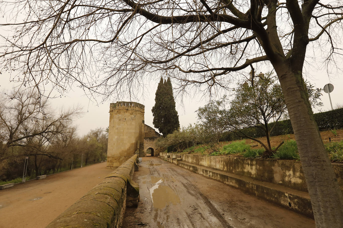 La avenida del Alcázar de Córdoba, en imágenes