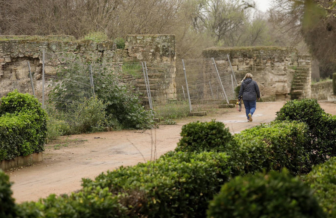 La avenida del Alcázar de Córdoba, en imágenes