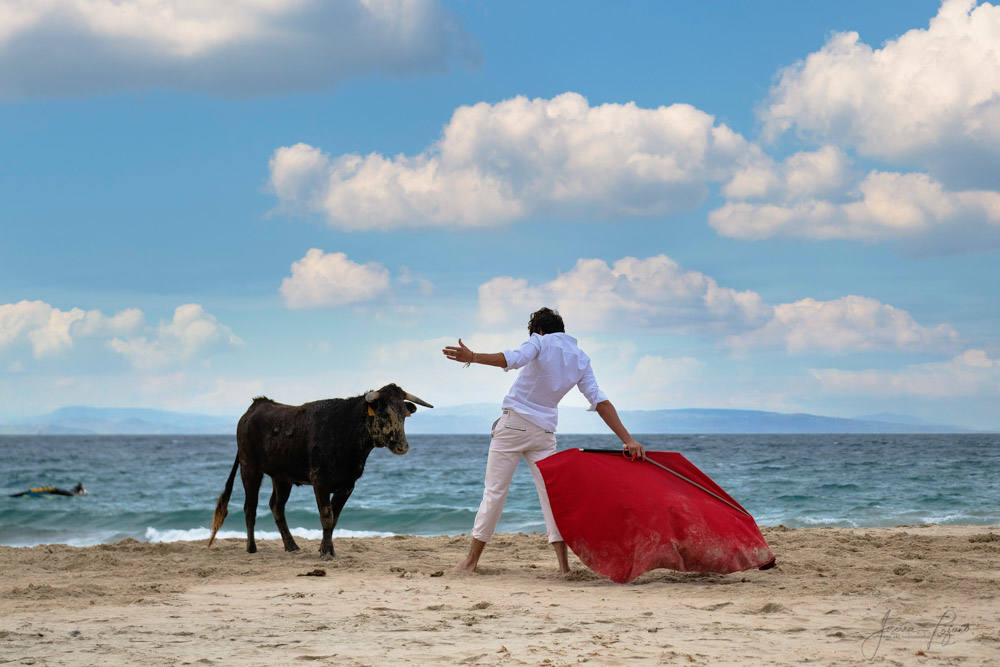 Roca Rey, el toreo a mar abierto