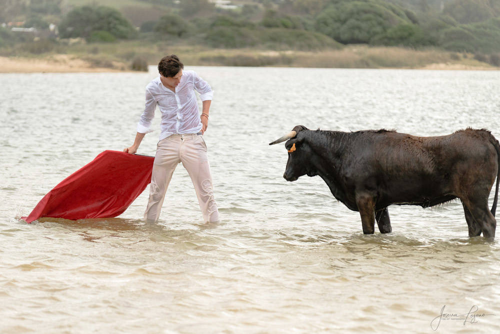 Roca Rey, el toreo a mar abierto