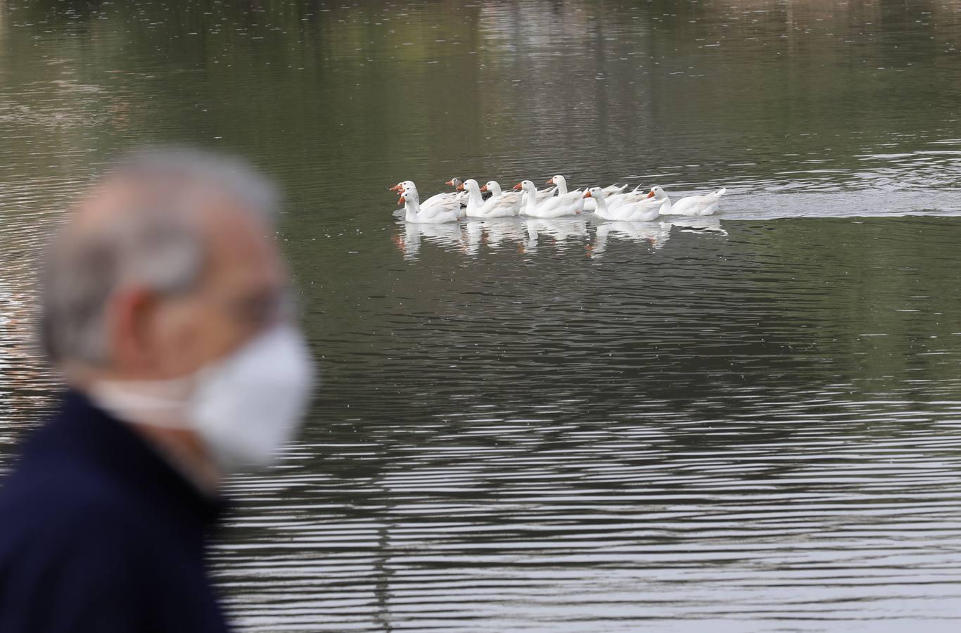 El río y sus proyectos pendientes en Córdoba, en imágenes