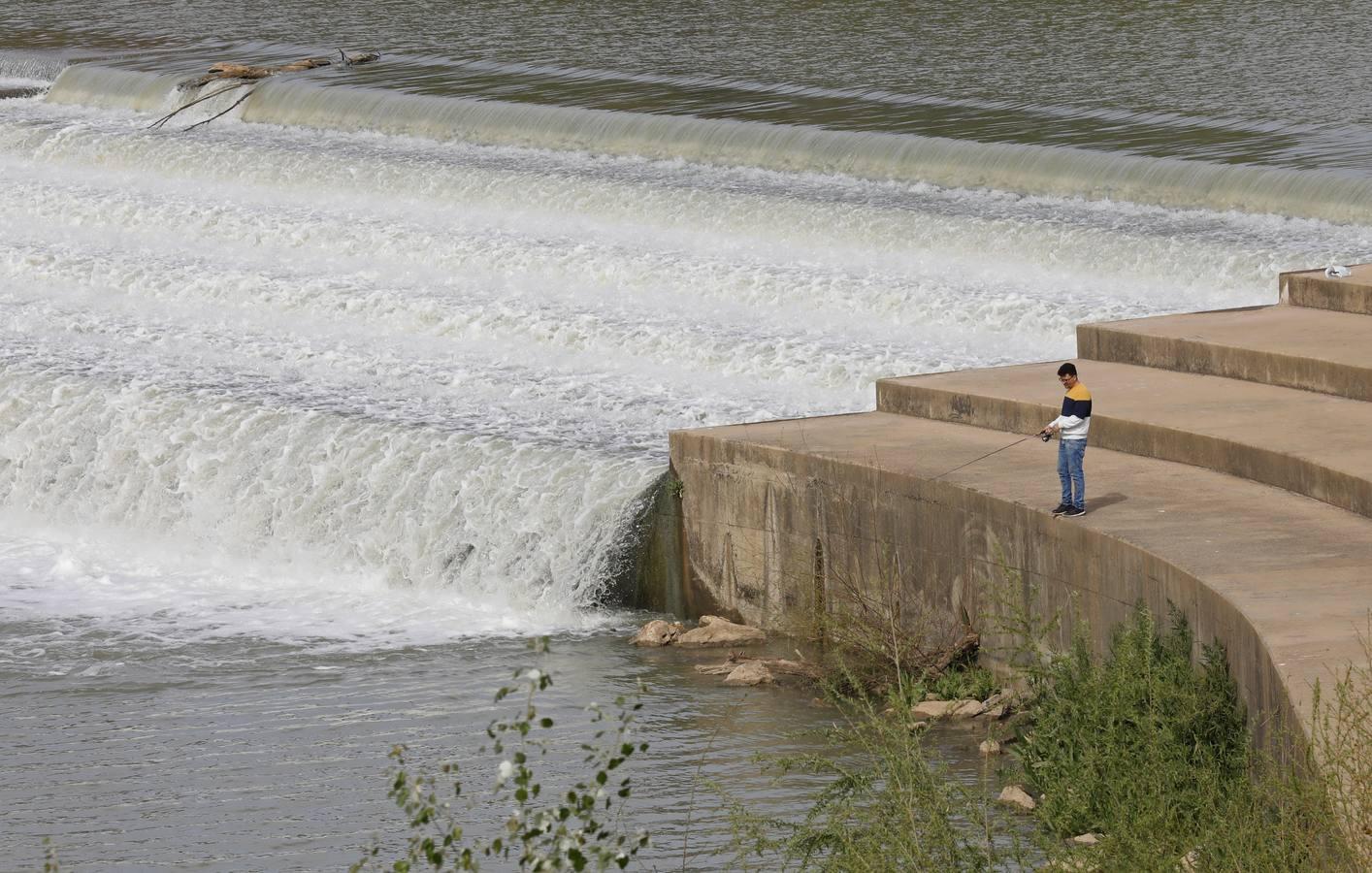 El río y sus proyectos pendientes en Córdoba, en imágenes