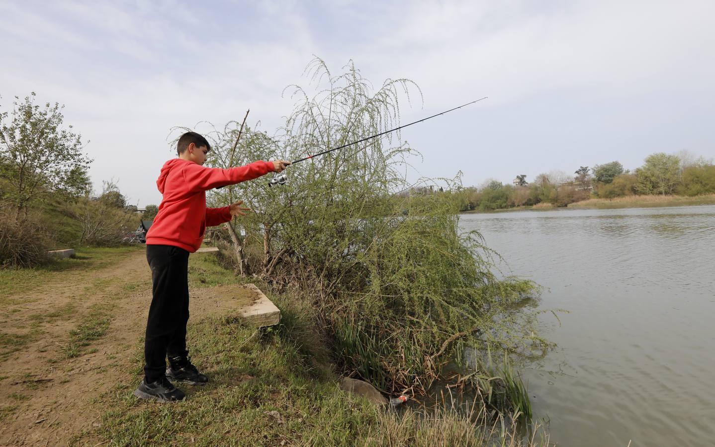 El río y sus proyectos pendientes en Córdoba, en imágenes