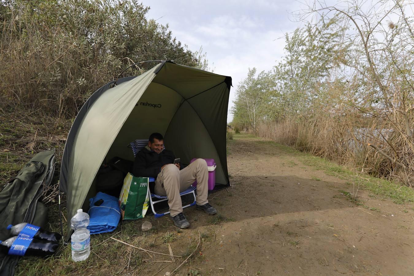 El río y sus proyectos pendientes en Córdoba, en imágenes