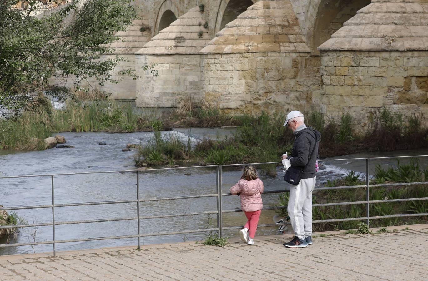 El río y sus proyectos pendientes en Córdoba, en imágenes