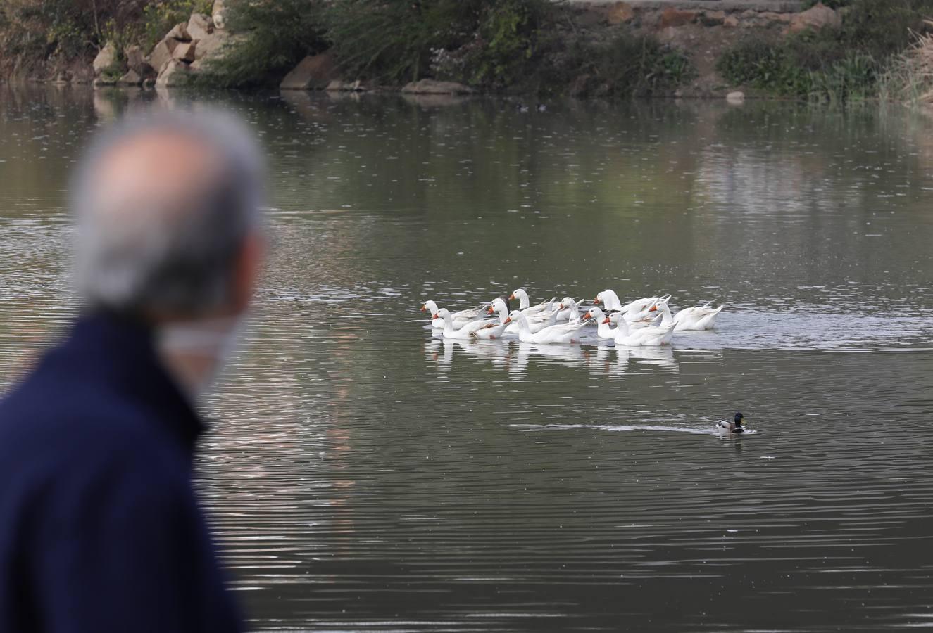 El río y sus proyectos pendientes en Córdoba, en imágenes