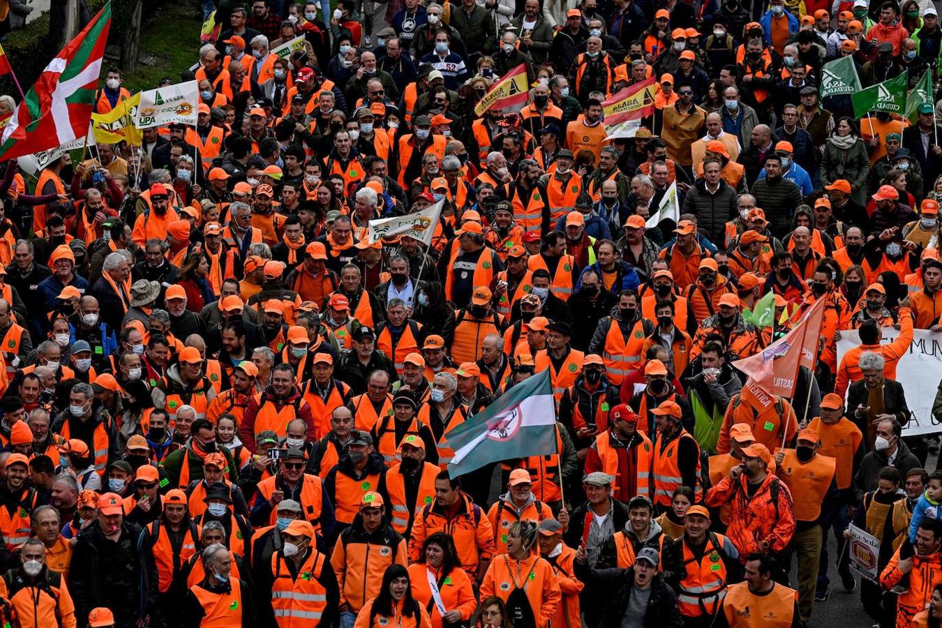 Alrededor de 200.000 personas llegadas desde todos los puntos de España se lanzan este domingo a las calles de Madrid bajo el lema 'Juntos por el campo'. 