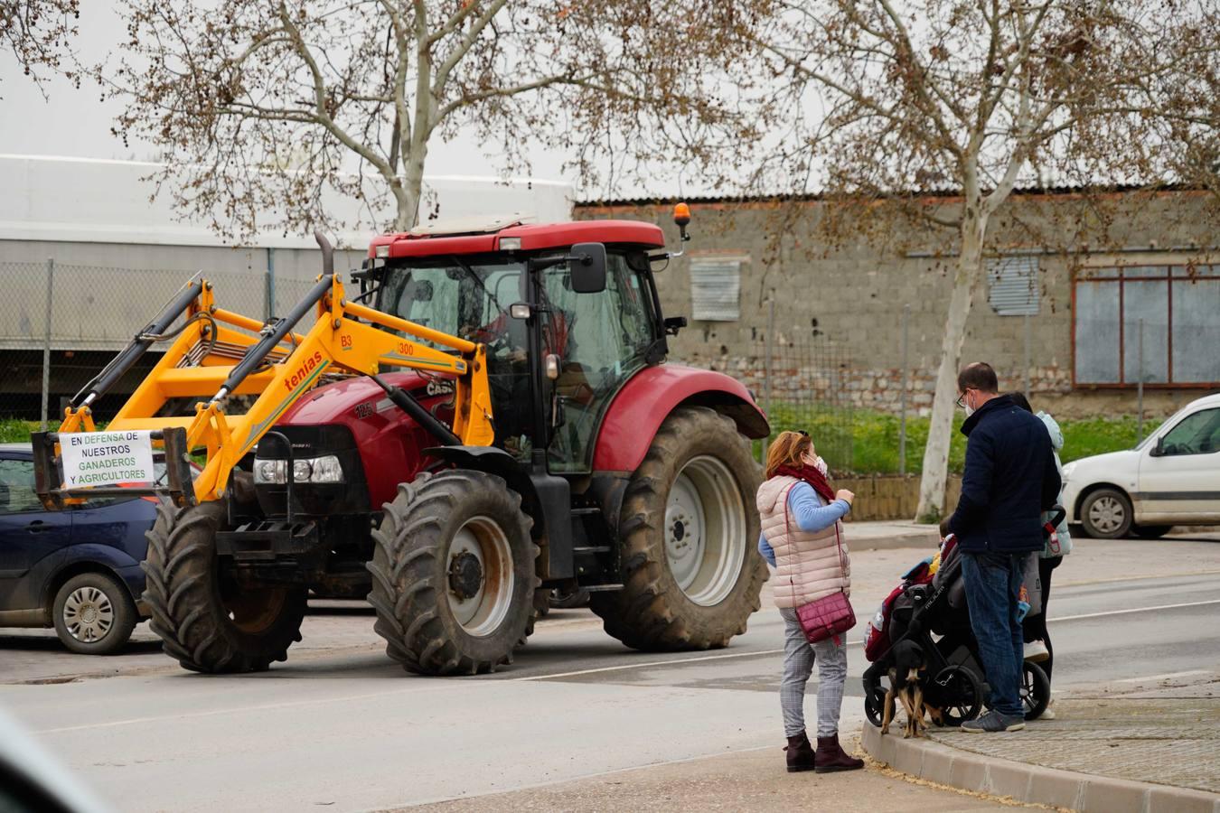 Las rotundas tractoradas de protesta del campo en Córdoba, en imágenes