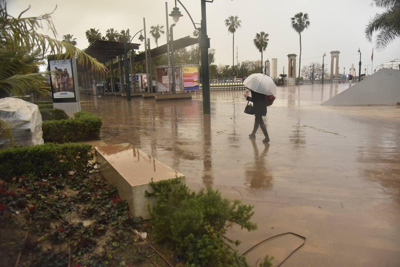 En imágenes, así ha quedado Málaga tras horas de lluvia de barro por la calima