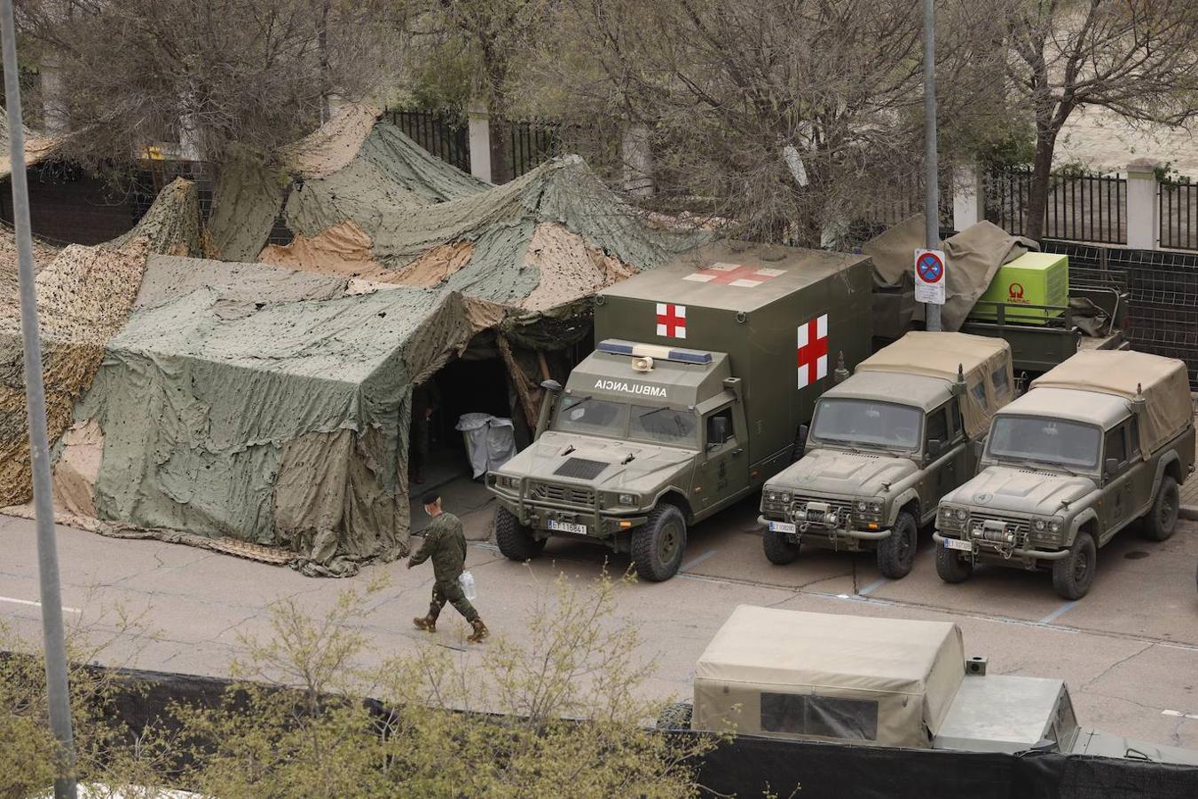 La espectacular exposición militar en Córdoba de las Unidades Acorazadas de la Bri X, en imágenes