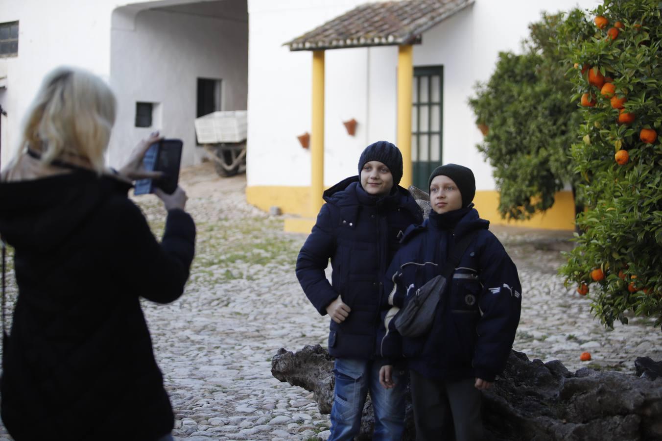 La llegada de refugiados de Ucrania a Córdoba, en imágenes