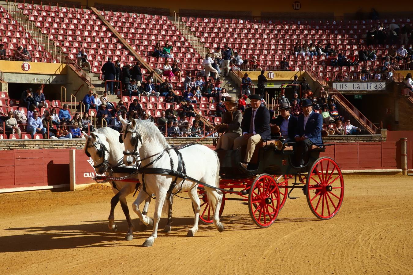 En imágenes, los nuevos valores en la becerrada del Círculo Taurino de Córdoba