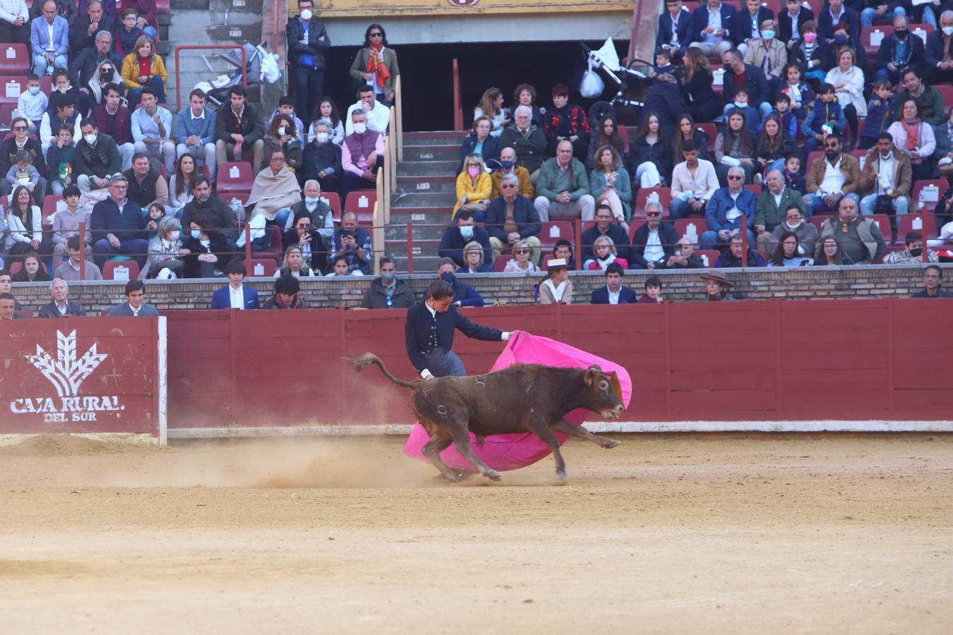 En imágenes, los nuevos valores en la becerrada del Círculo Taurino de Córdoba