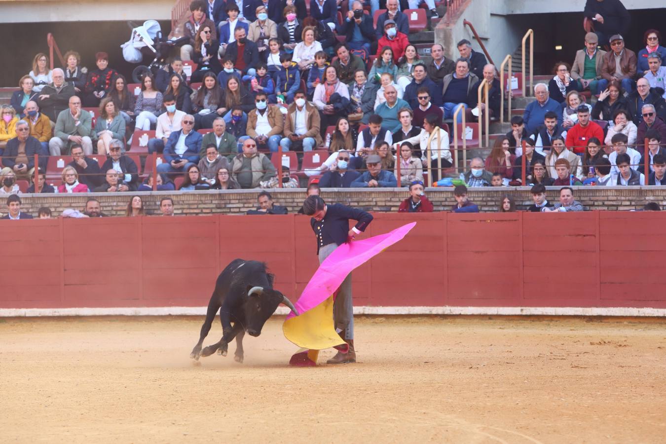 En imágenes, los nuevos valores en la becerrada del Círculo Taurino de Córdoba