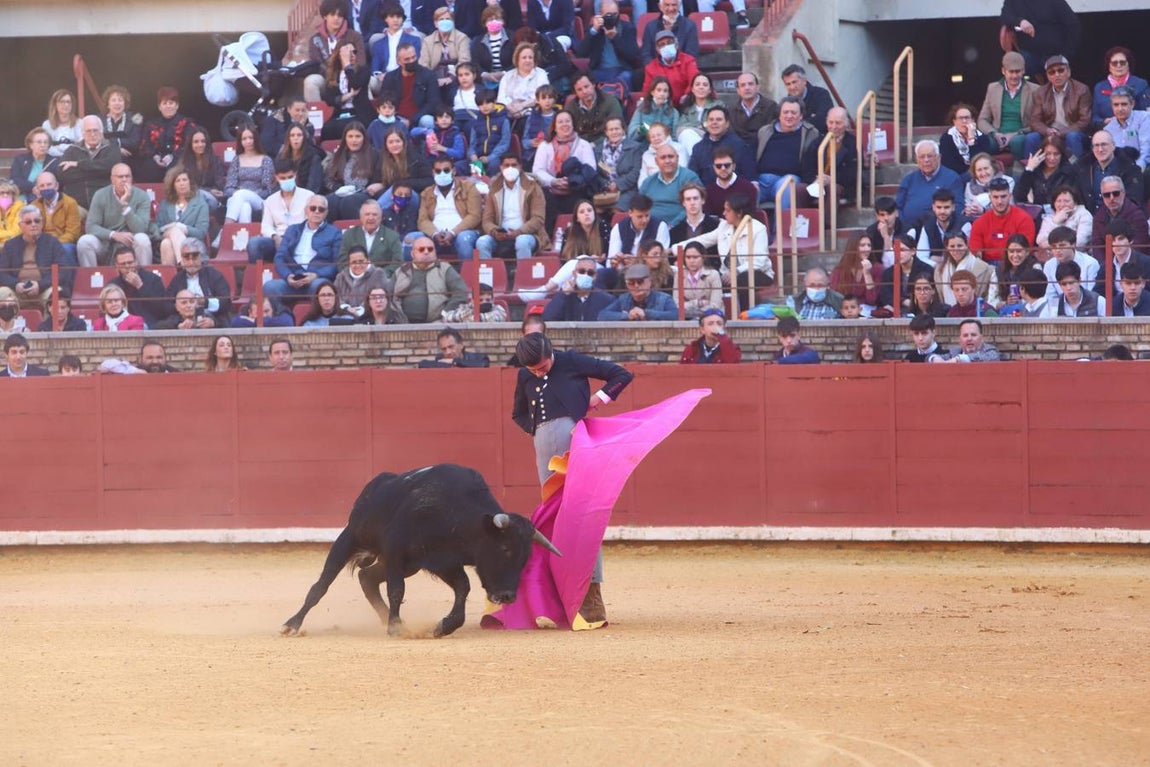 En imágenes, los nuevos valores en la becerrada del Círculo Taurino de Córdoba