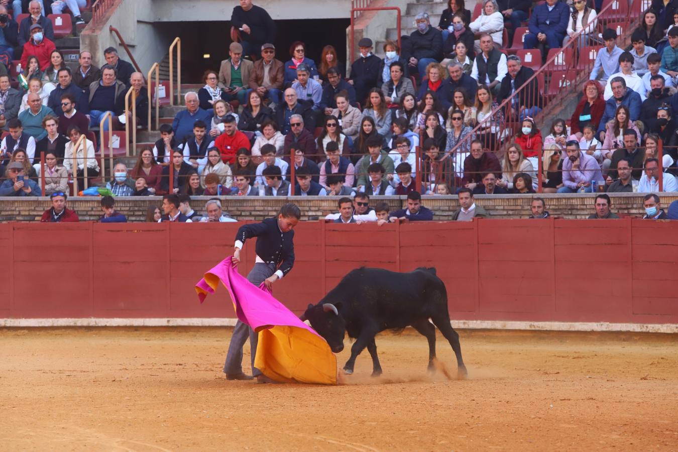 En imágenes, los nuevos valores en la becerrada del Círculo Taurino de Córdoba