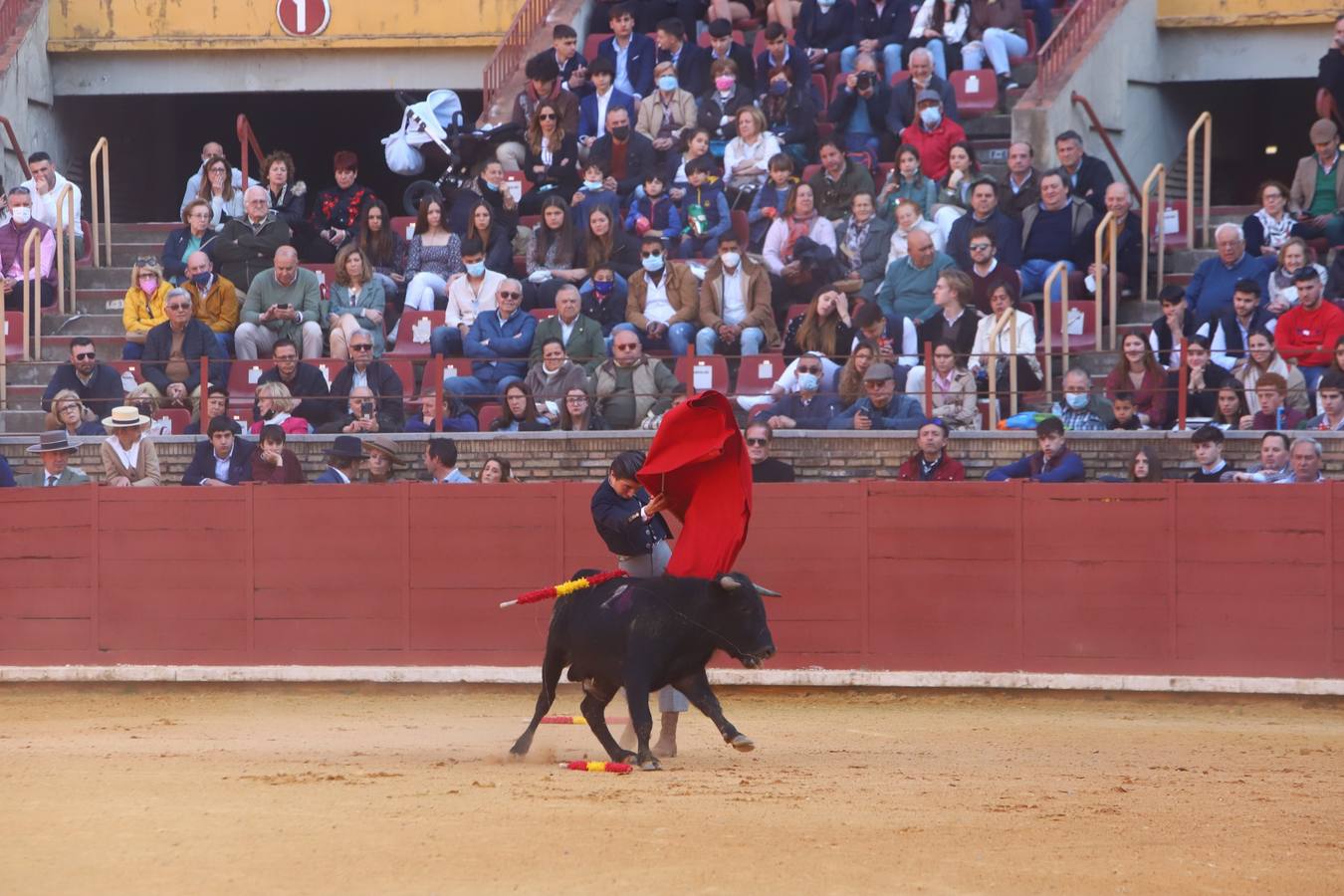 En imágenes, los nuevos valores en la becerrada del Círculo Taurino de Córdoba