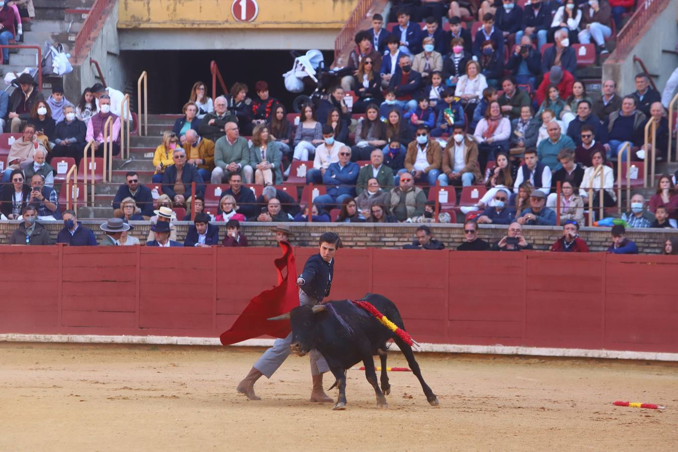 En imágenes, los nuevos valores en la becerrada del Círculo Taurino de Córdoba