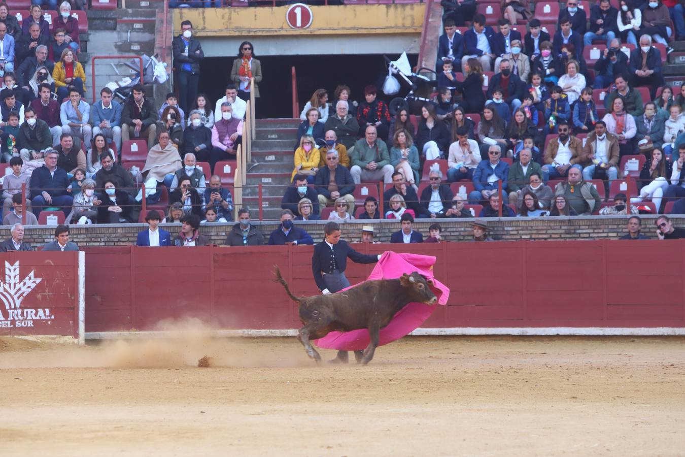 En imágenes, los nuevos valores en la becerrada del Círculo Taurino de Córdoba