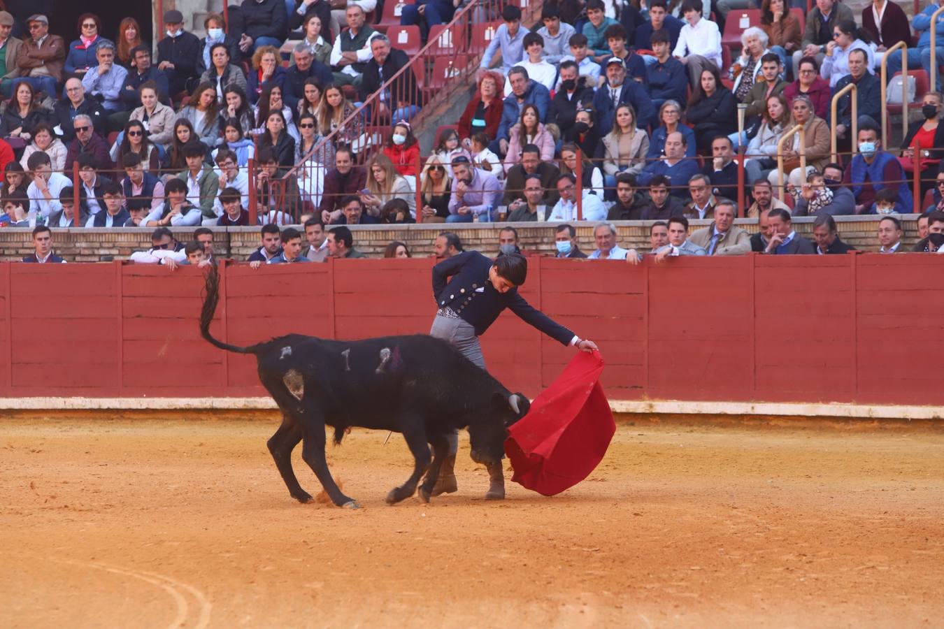 En imágenes, los nuevos valores en la becerrada del Círculo Taurino de Córdoba