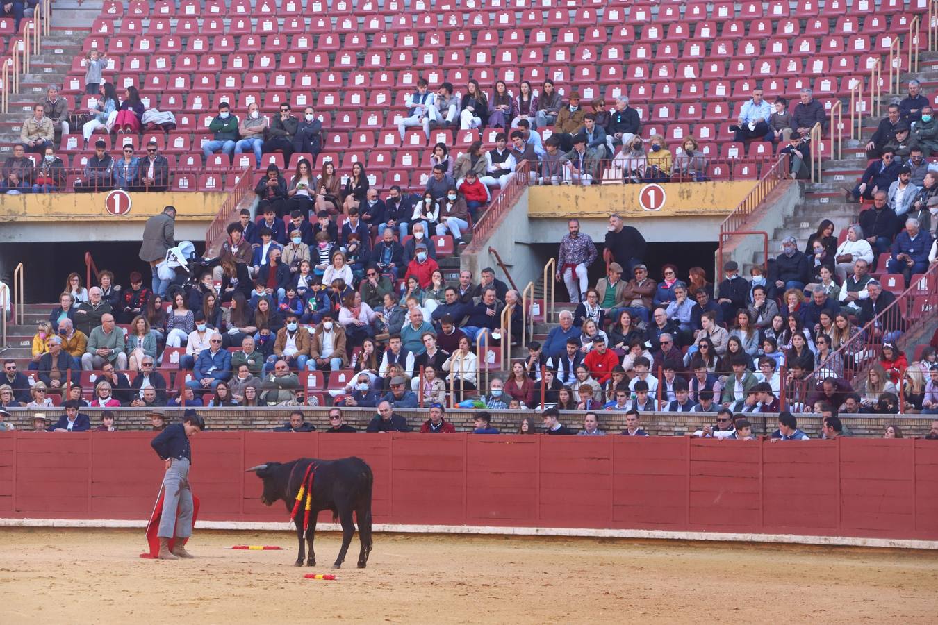 En imágenes, los nuevos valores en la becerrada del Círculo Taurino de Córdoba