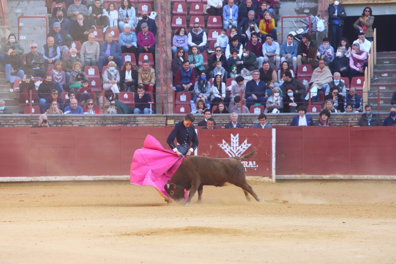 En imágenes, los nuevos valores en la becerrada del Círculo Taurino de Córdoba