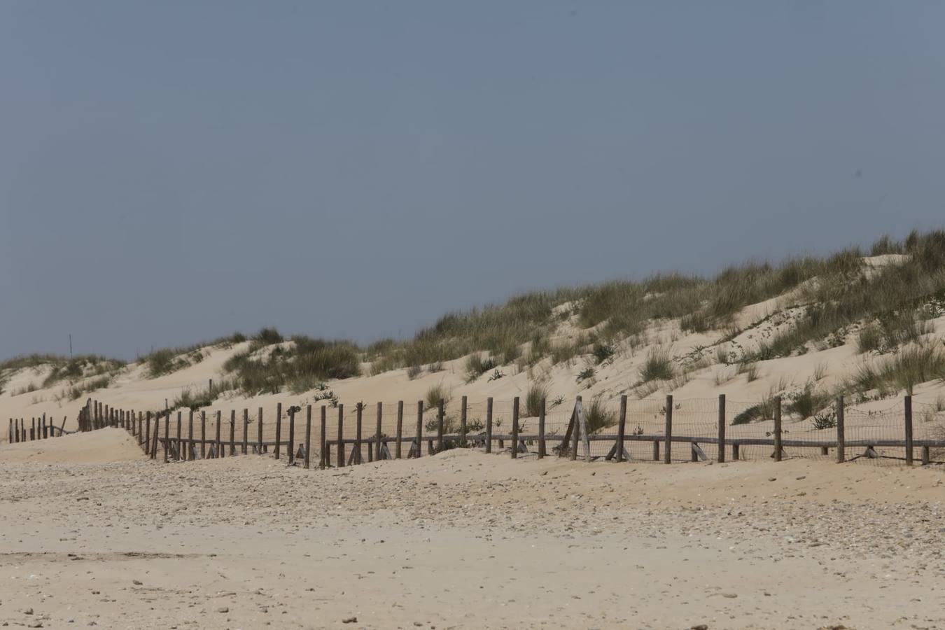 El Palmar, un paraíso que conserva un encanto salvaje en Vejer