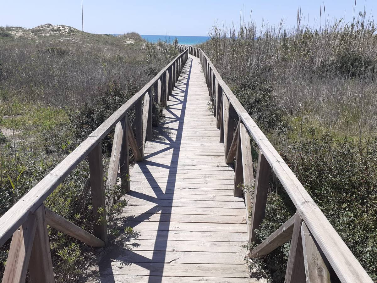 FOTOS: Así está la playa de El Palmar al inicio de la Semana Santa 2022