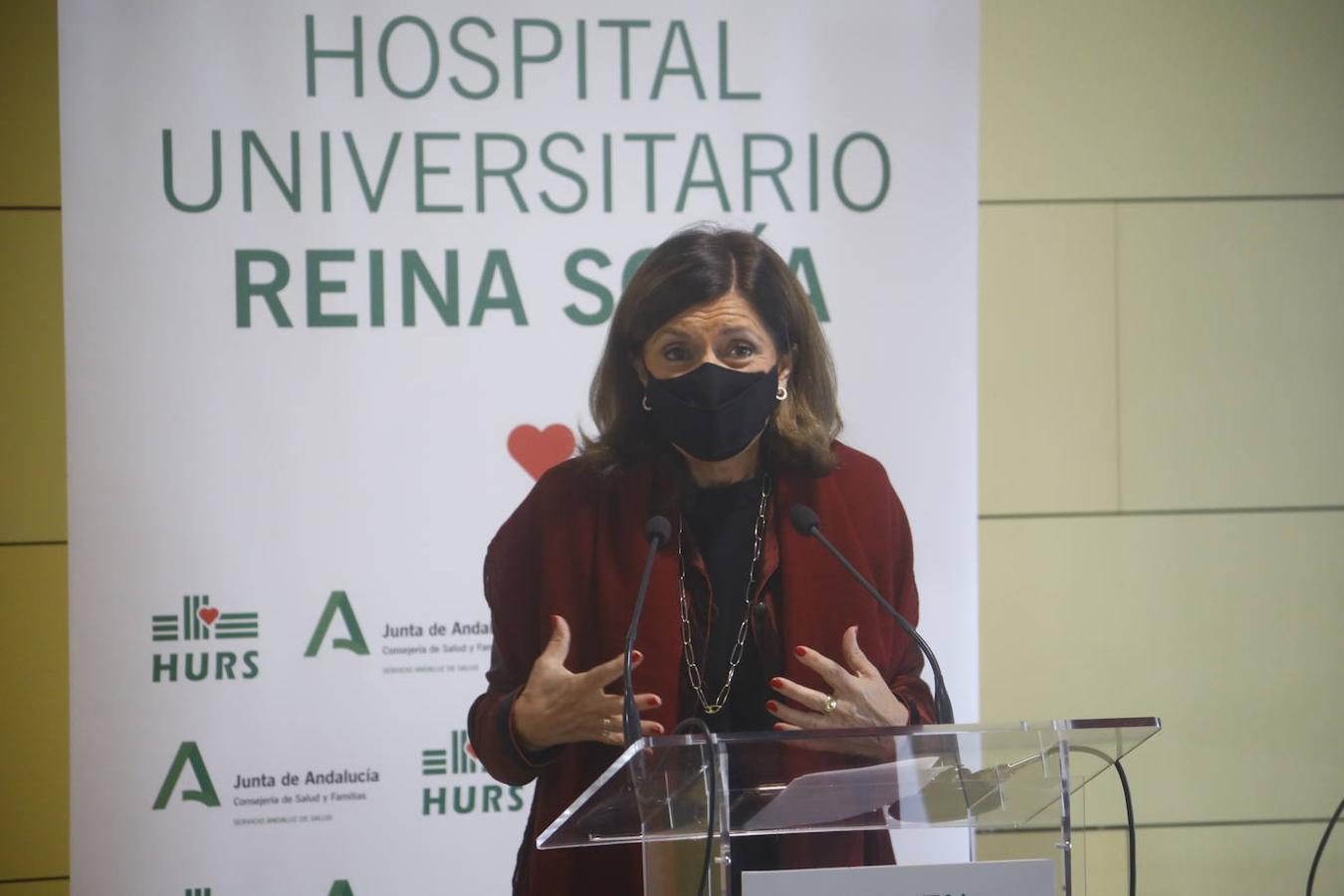 El primer trasplante renal cruzado en el Hospital Reina Sofía, en imágenes