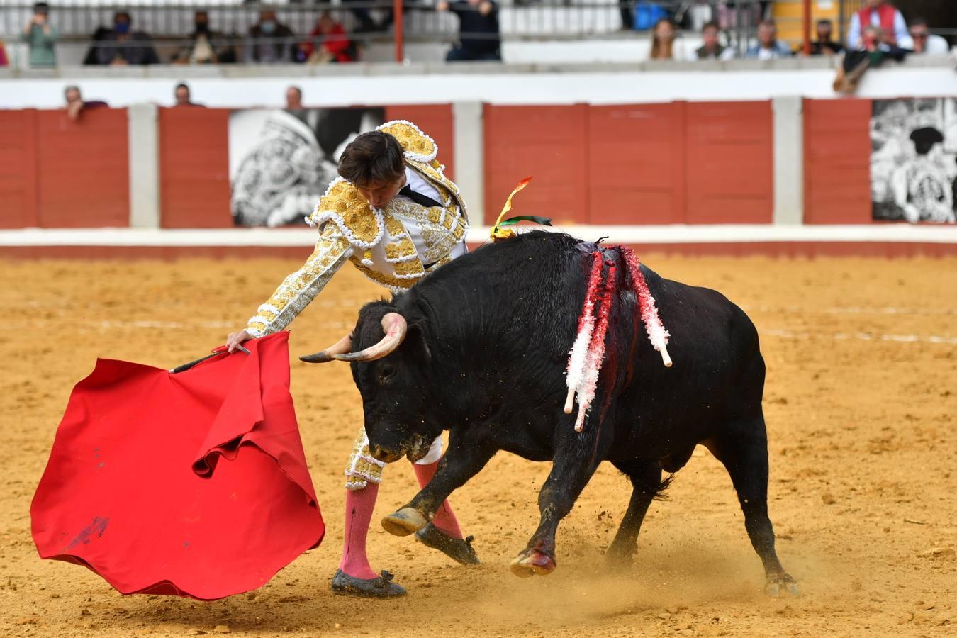 La corrida de Ventura, Ortega y Roca Rey en Pozoblanco, en imágenes