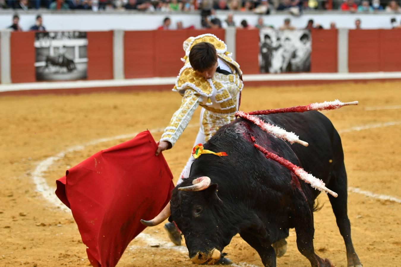 La corrida de Ventura, Ortega y Roca Rey en Pozoblanco, en imágenes