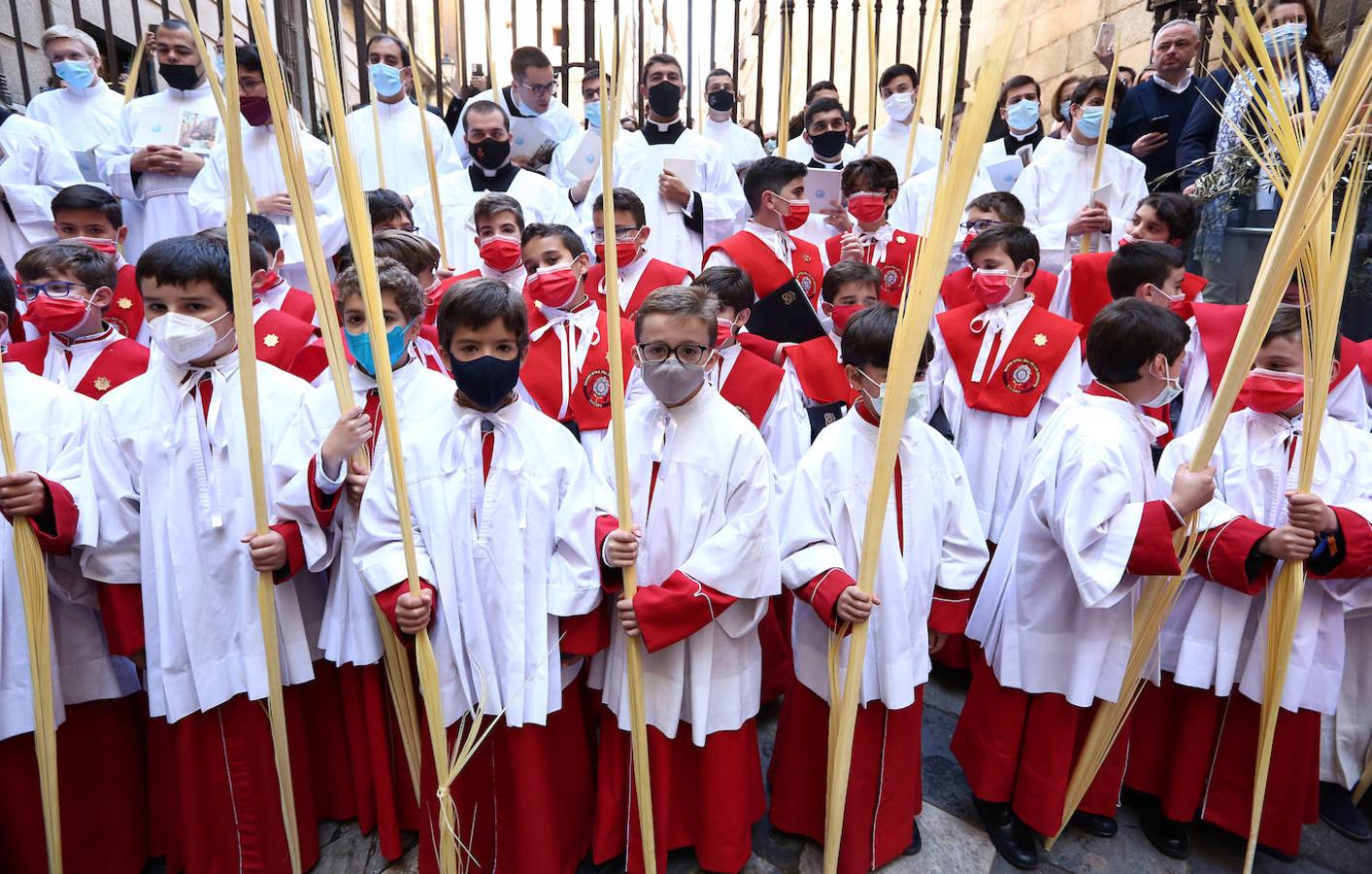 Domingo de Ramos, en imágenes