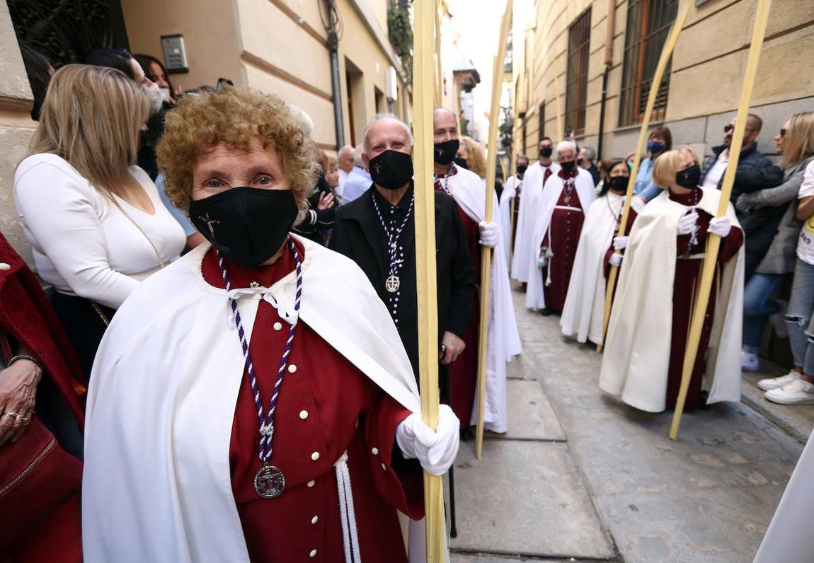 Regreso triunfal de la Borriquita