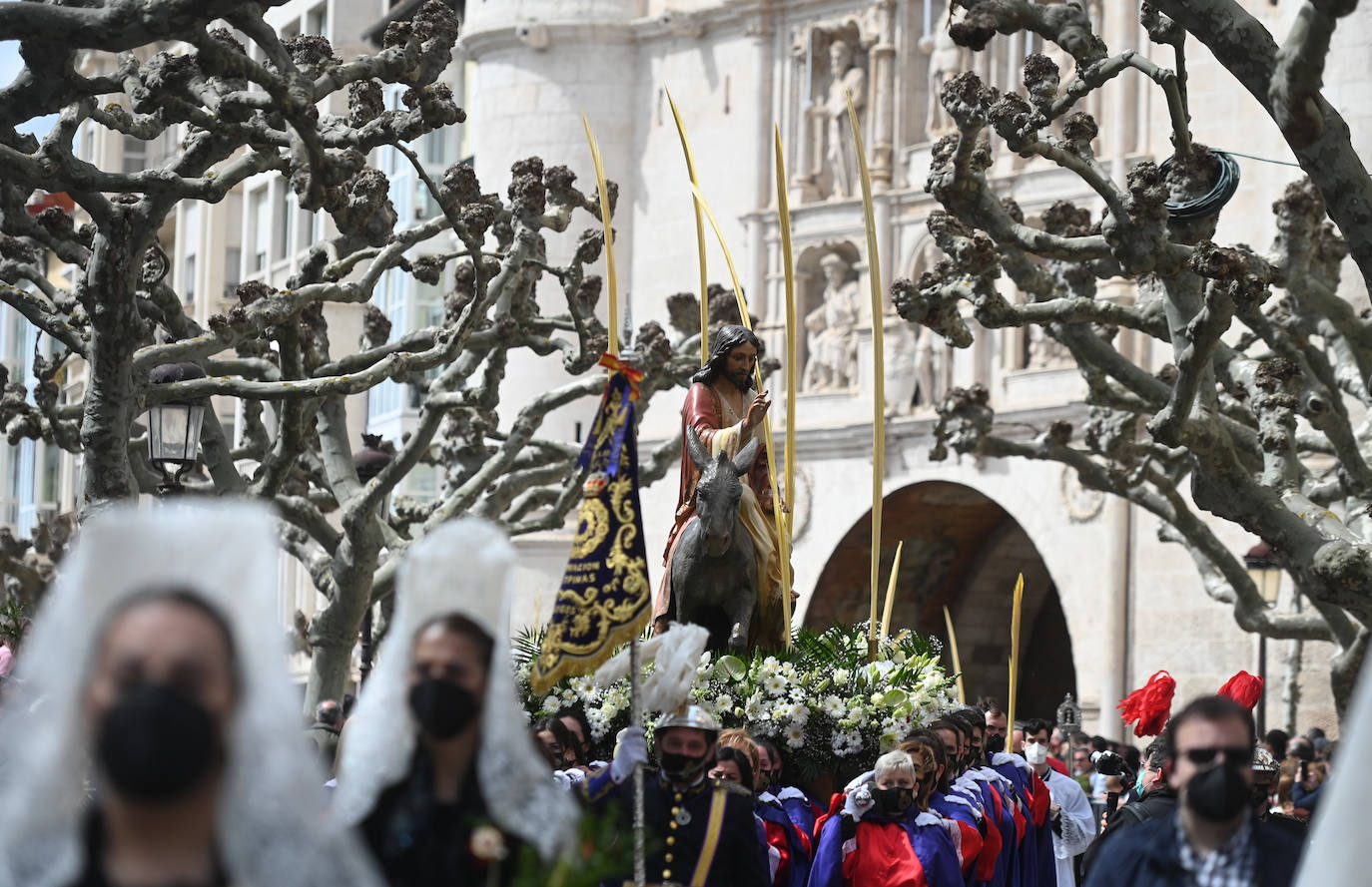 Procesión de Jesús en la borriquilla en Burgos. 