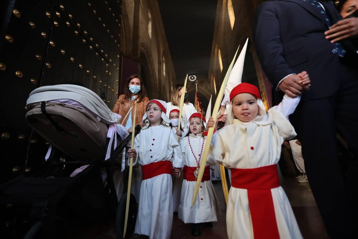 La vibrante salida de la Borriquita en el Domingo de Ramos de Córdoba, en imágenes