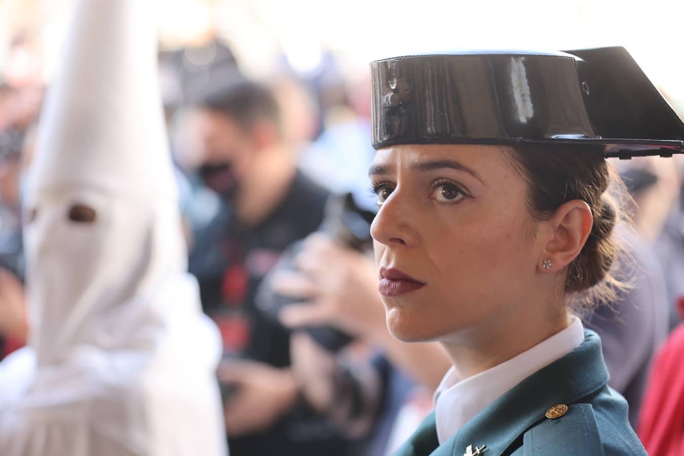 La vibrante salida de la Borriquita en el Domingo de Ramos de Córdoba, en imágenes