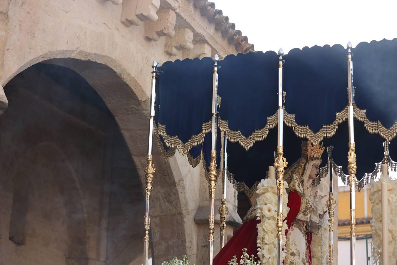 La vibrante salida de la Borriquita en el Domingo de Ramos de Córdoba, en imágenes