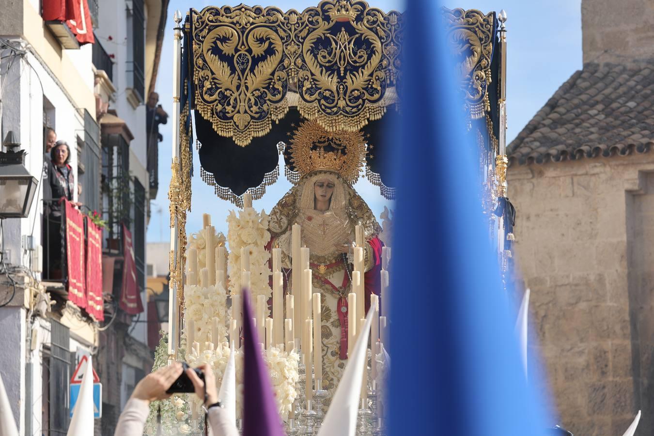 La vibrante salida de la Borriquita en el Domingo de Ramos de Córdoba, en imágenes