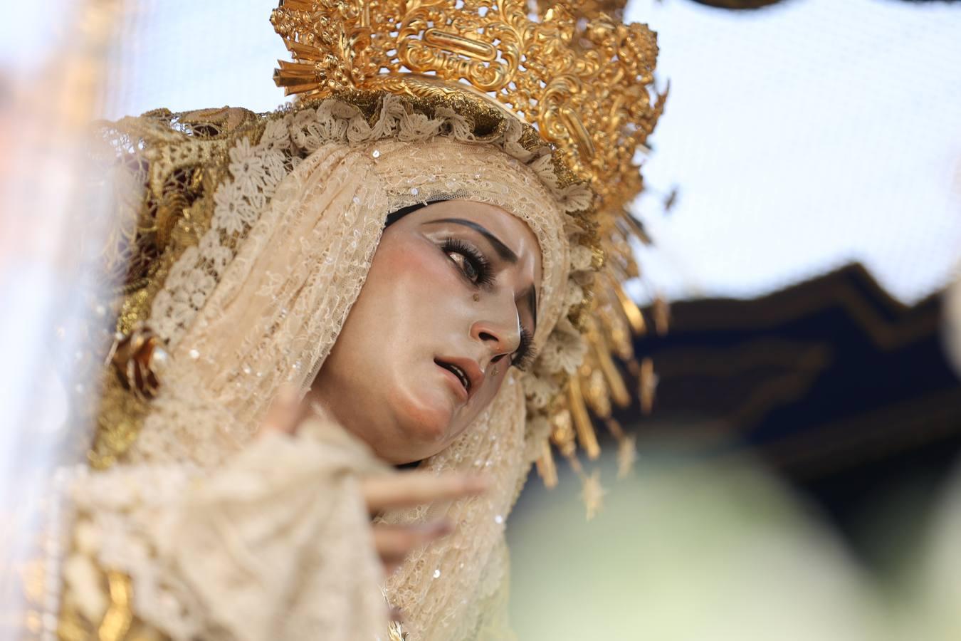 La vibrante salida de la Borriquita en el Domingo de Ramos de Córdoba, en imágenes