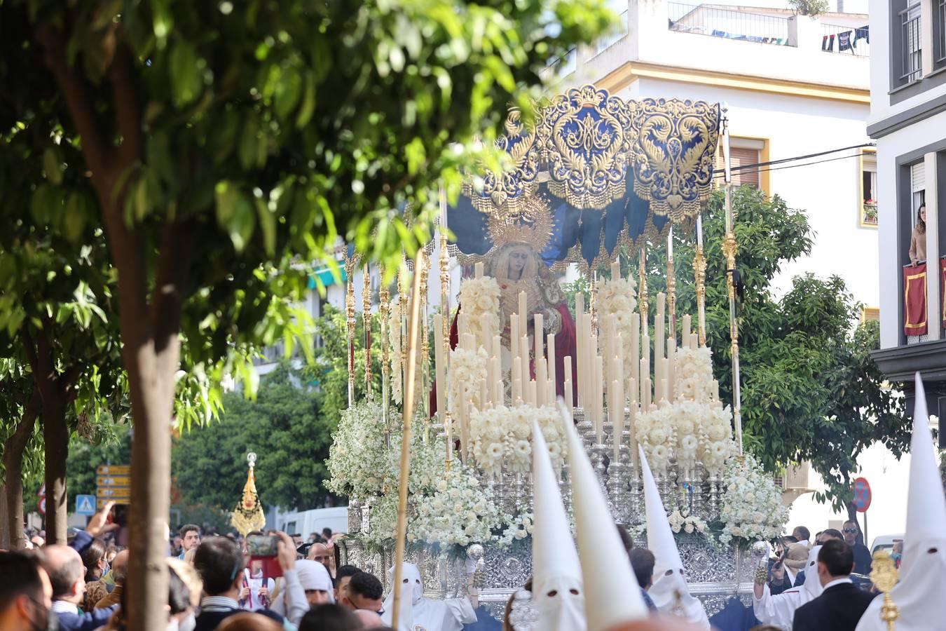 La vibrante salida de la Borriquita en el Domingo de Ramos de Córdoba, en imágenes