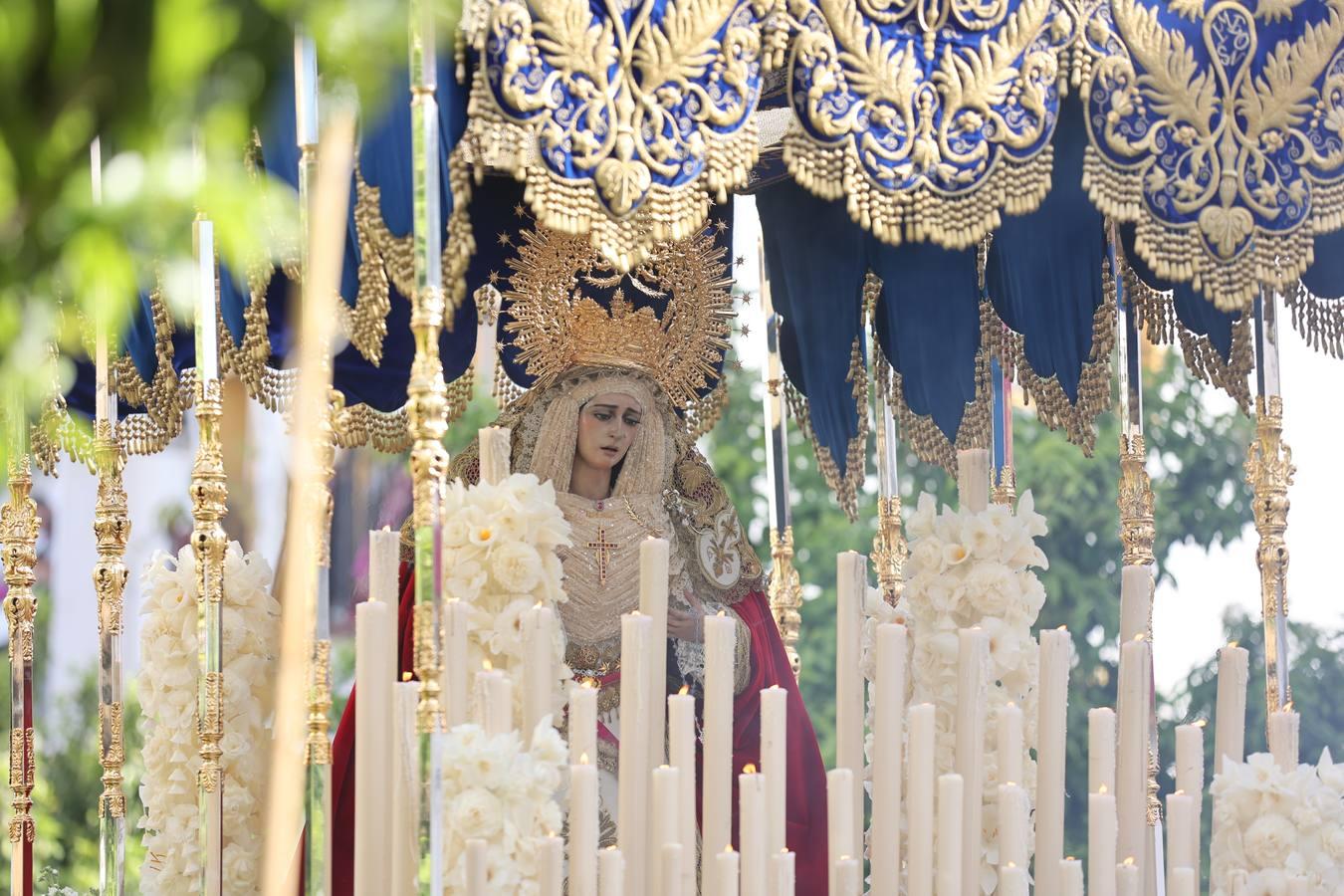 La vibrante salida de la Borriquita en el Domingo de Ramos de Córdoba, en imágenes