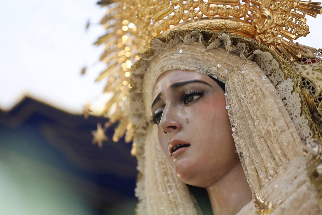 La vibrante salida de la Borriquita en el Domingo de Ramos de Córdoba, en imágenes