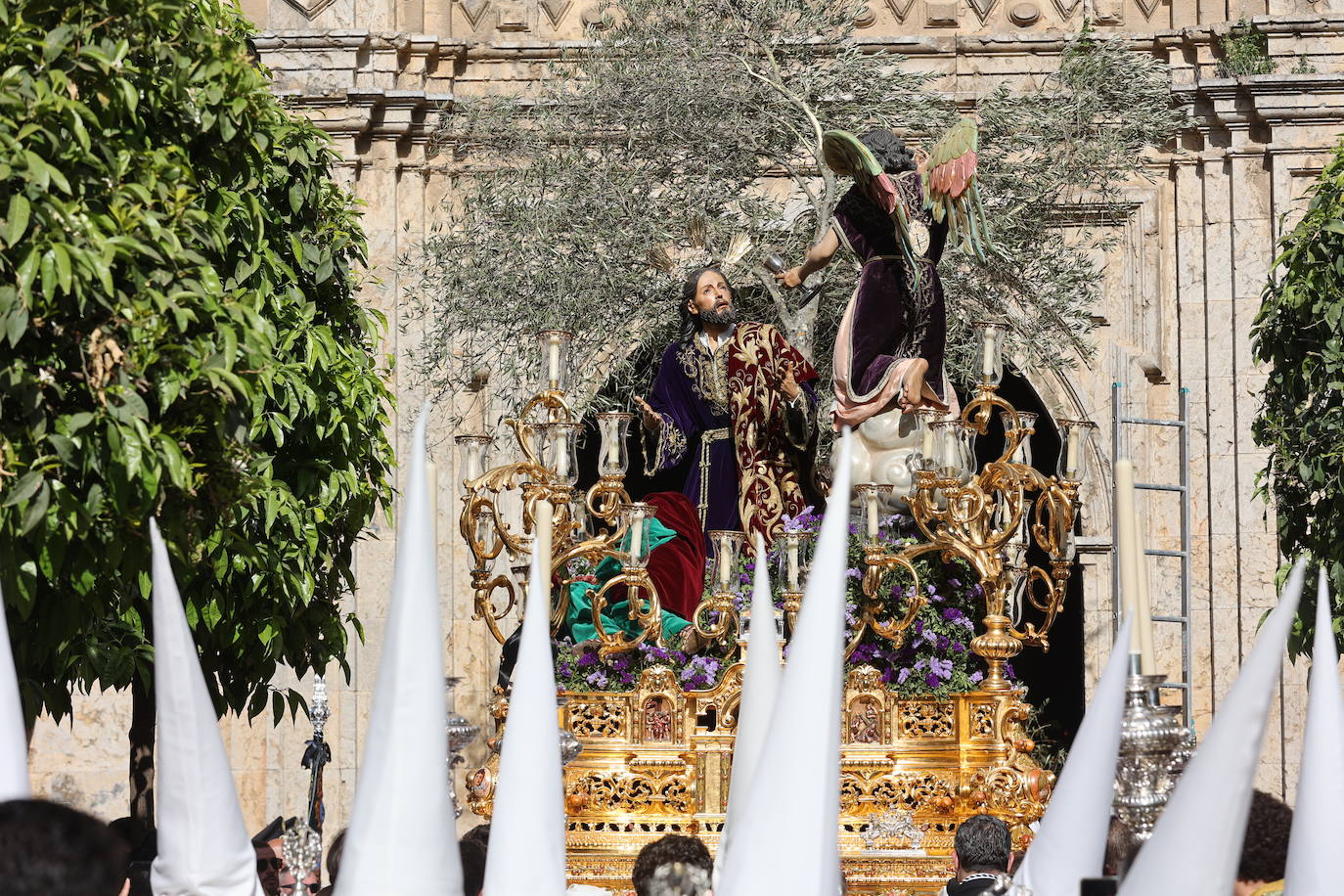 La hermandad del Huerto ilumina Córdoba el Domingo de Ramos