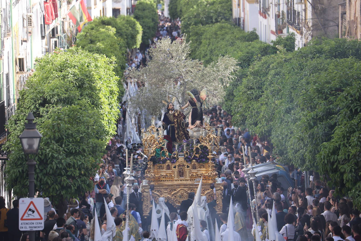 La hermandad del Huerto ilumina Córdoba el Domingo de Ramos