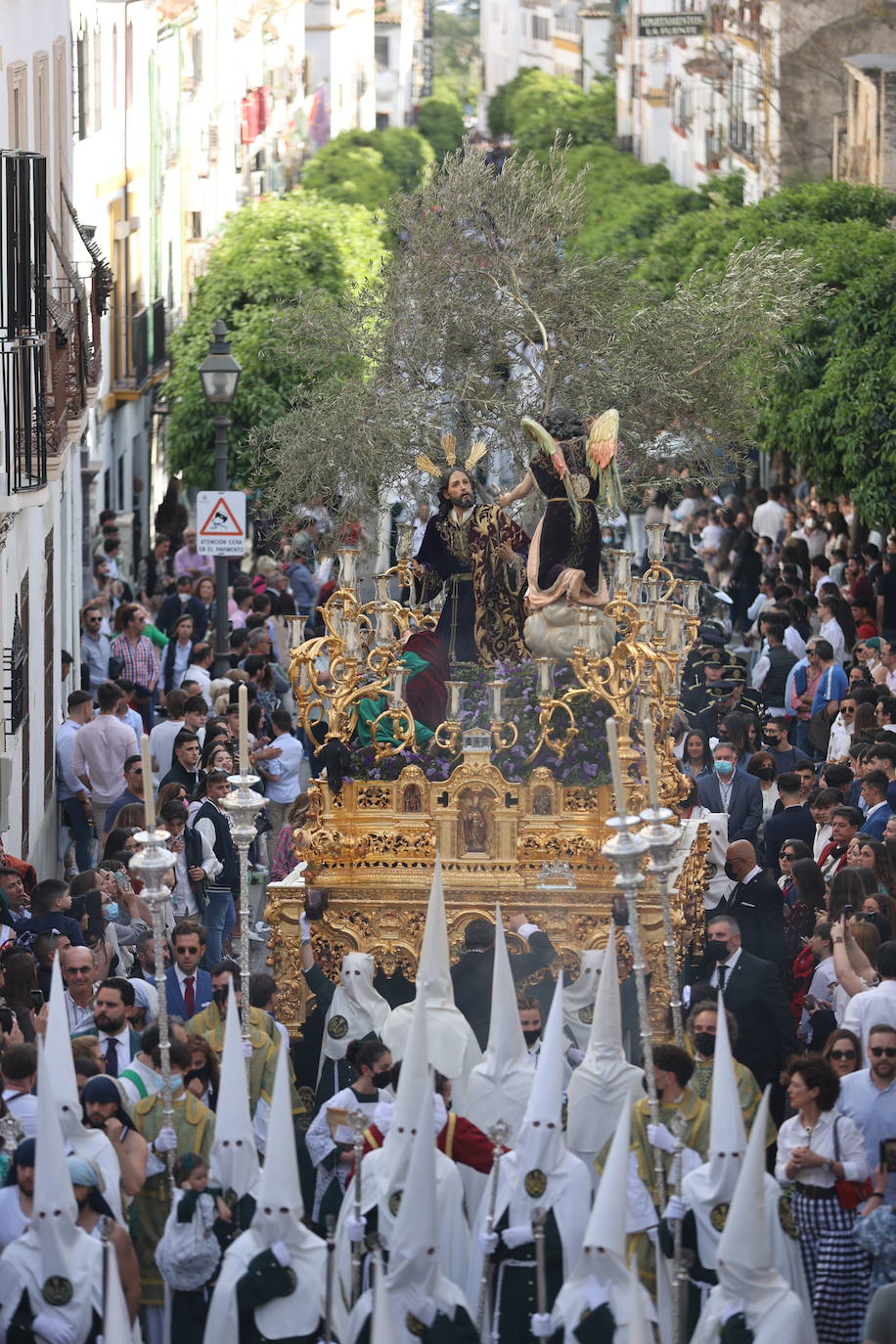 La hermandad del Huerto ilumina Córdoba el Domingo de Ramos