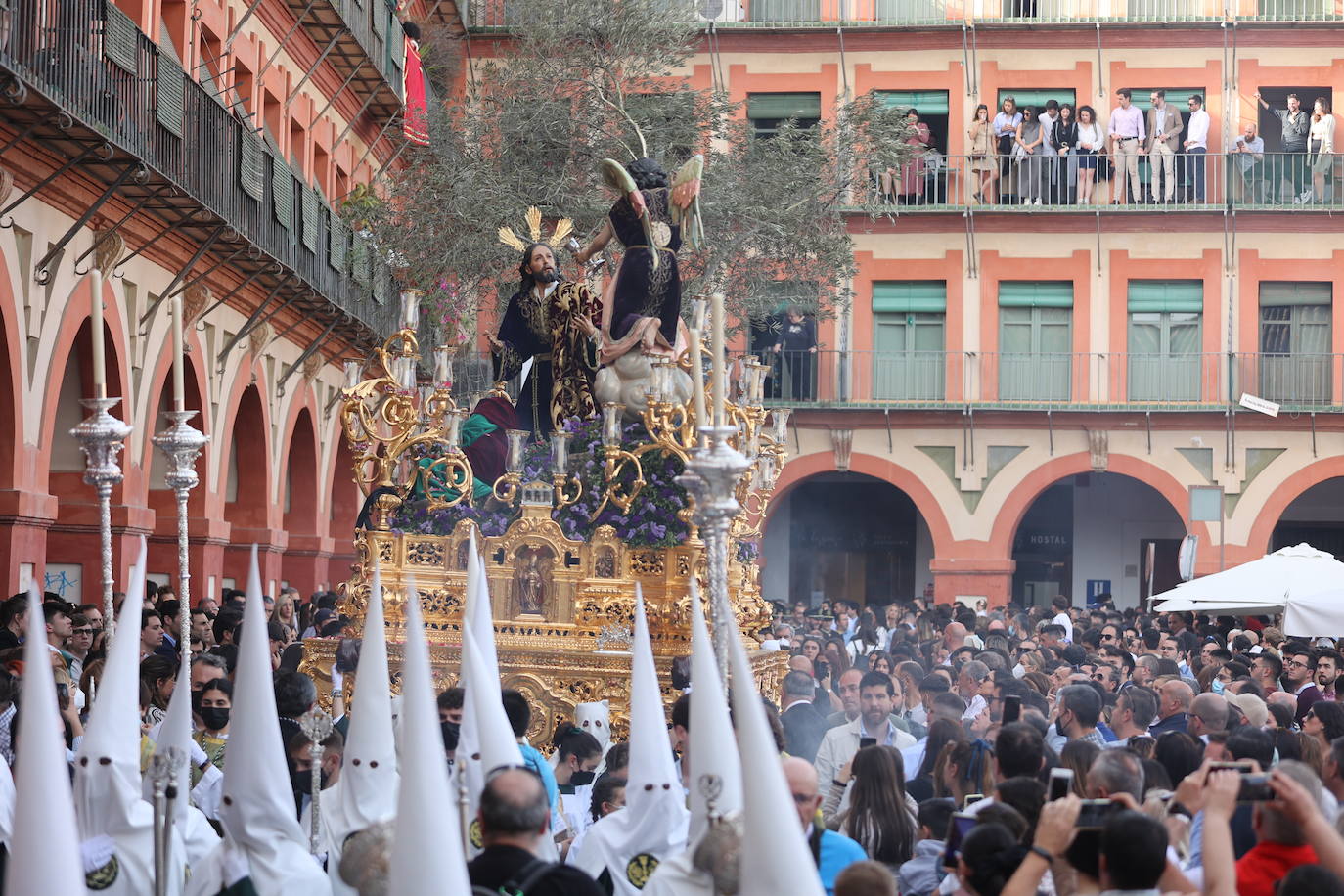 La hermandad del Huerto ilumina Córdoba el Domingo de Ramos