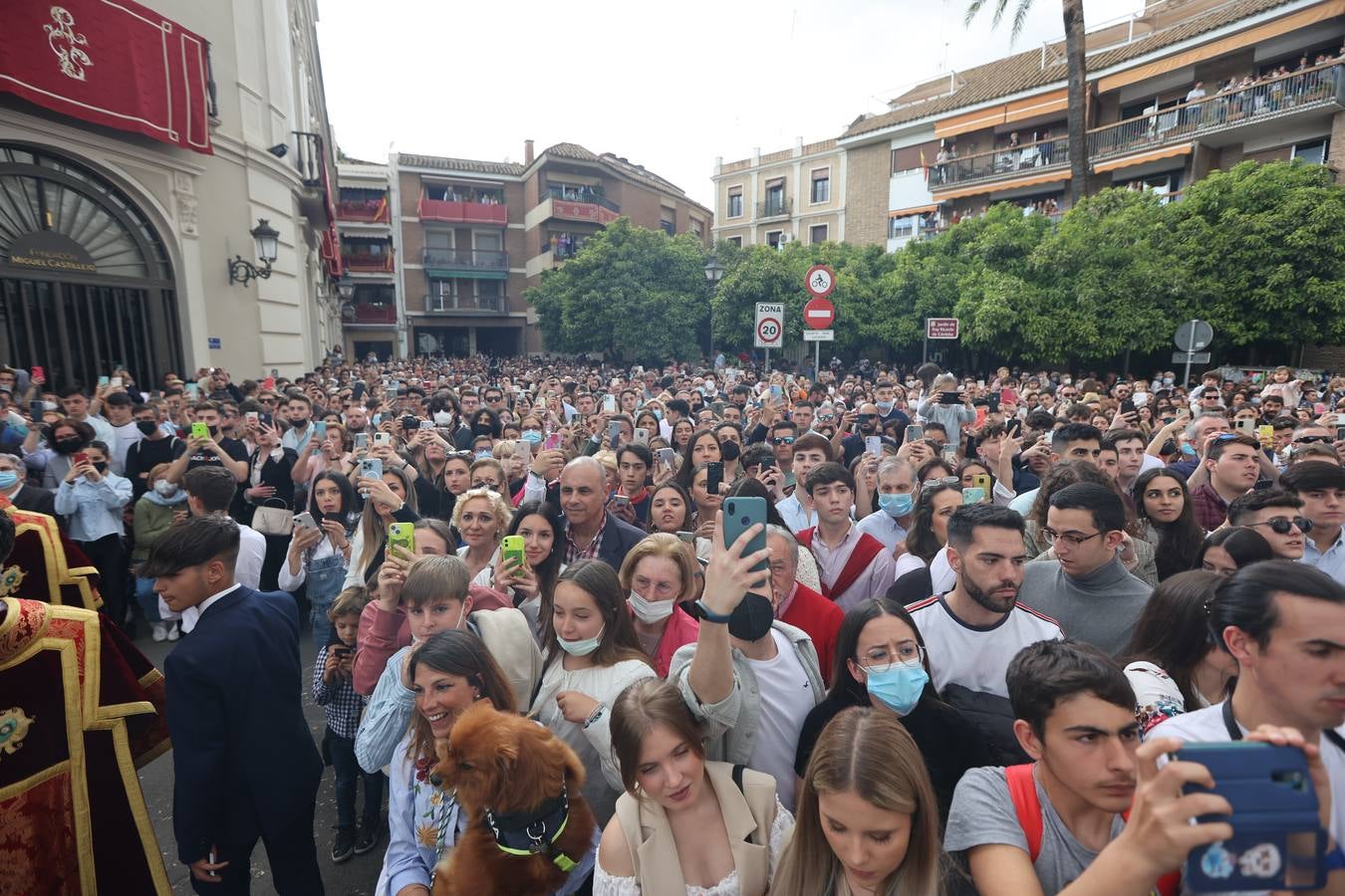 Miércoles Santo | La triunfal procesión de La Paz en Córdoba, en imágenes